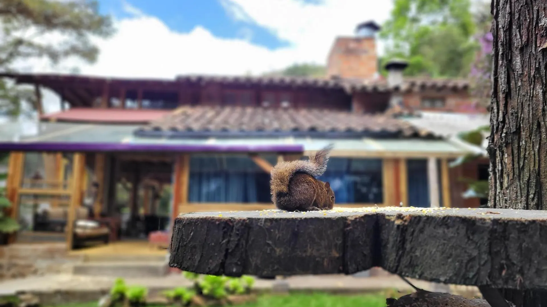 Hotel Refugio en el Bosque Medellín Pensión