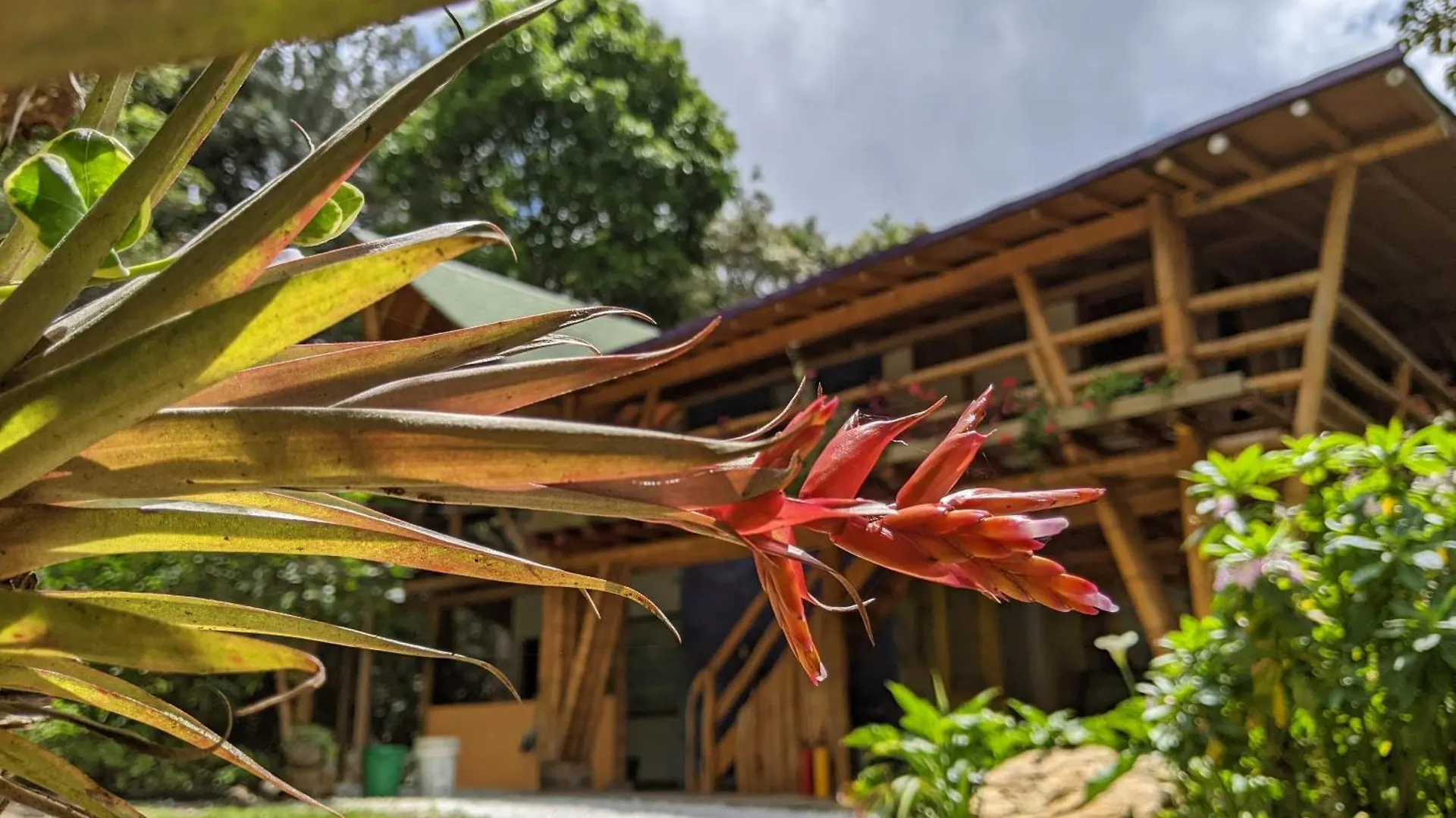 Hotel Refugio en el Bosque Medellín