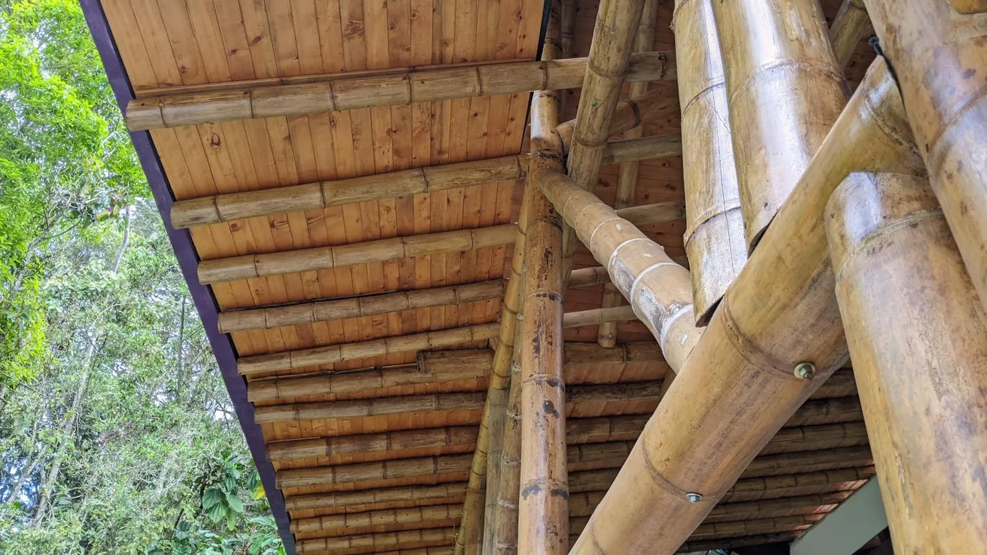 Hotel Refugio en el Bosque Medellín Pensión Santa Elena (Antioquia)